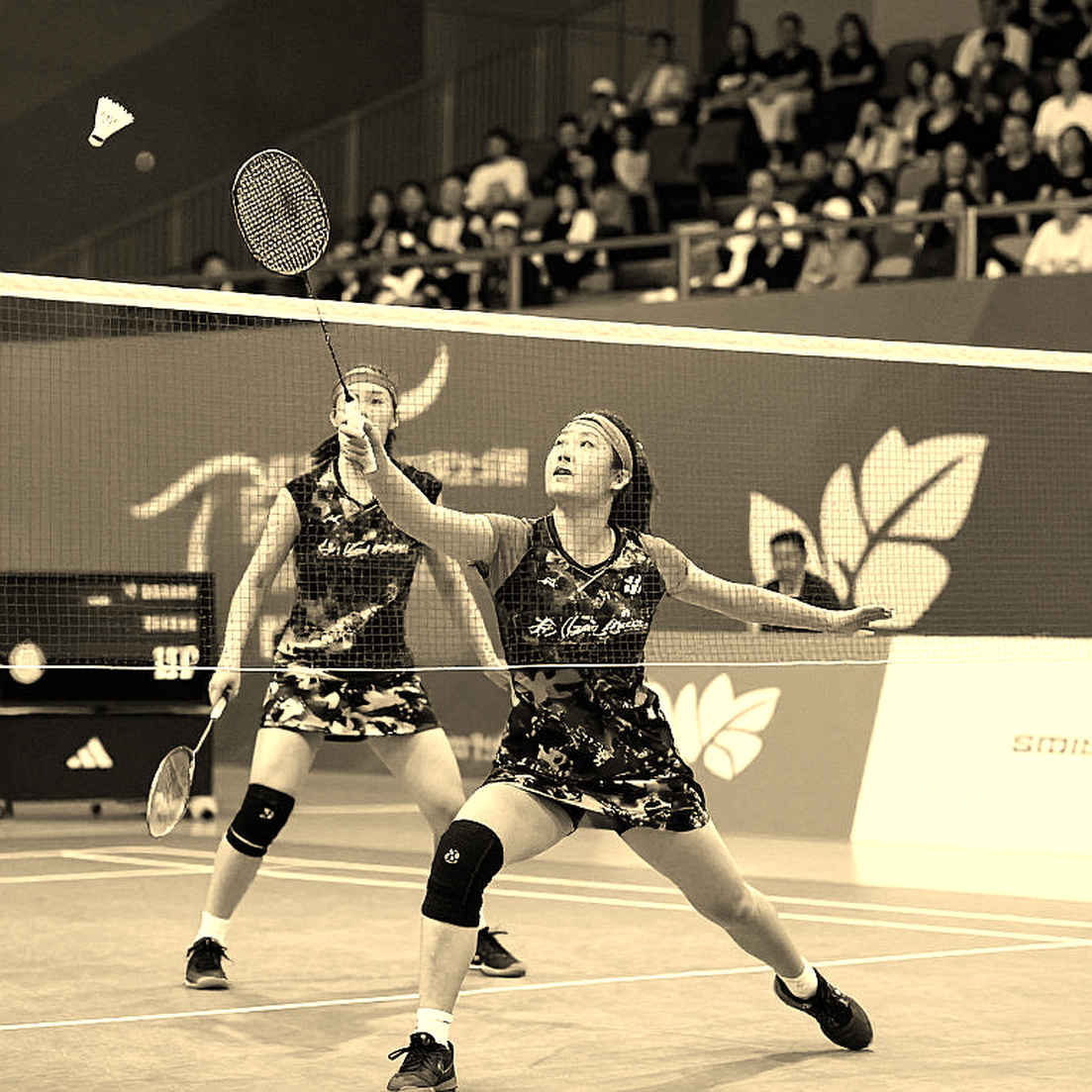 An Se-young bảo vệ huy chương vàng Asian Games 2026: mười ván thắng liên tiếp và 46 danh hiệu cần kiểm chứng