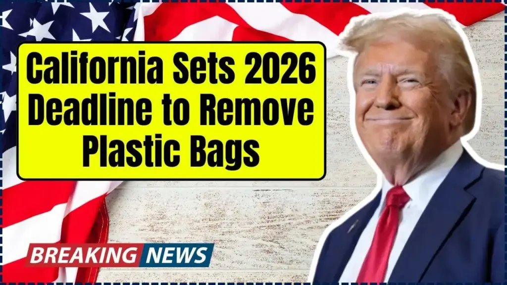 California Sets 2026 Deadline to Remove Plastic Bags