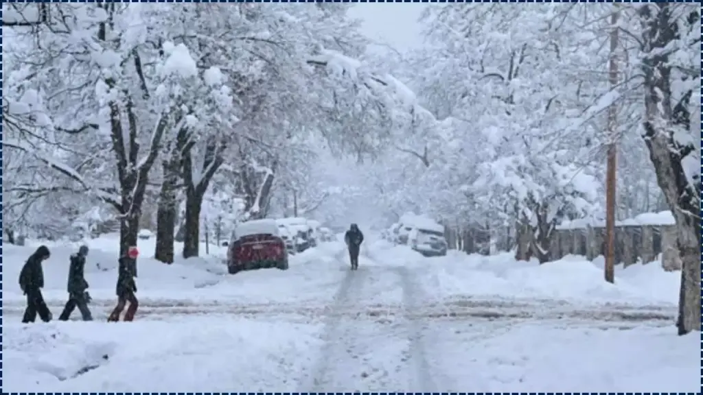 Extreme Frost Warning Issued