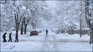 Extreme Frost Warning Issued