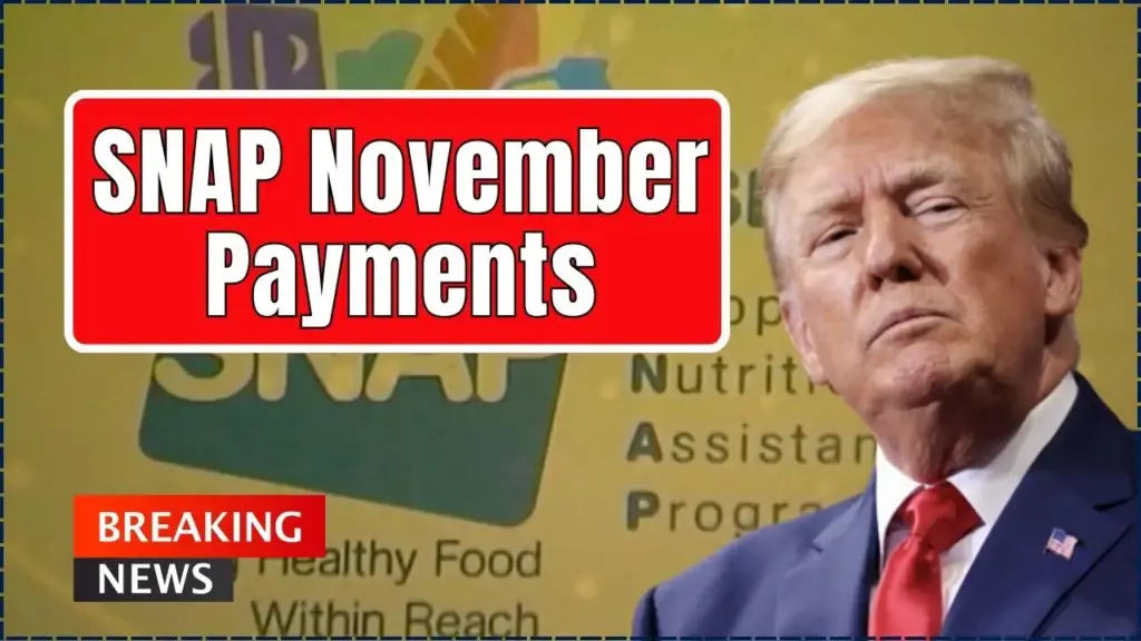 SNAP November Payments