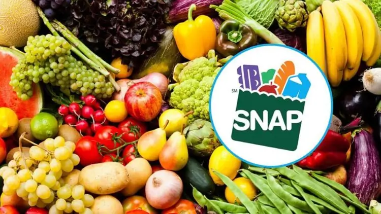 SNAP Update — USDA Reveals How Soon Benefit Payments Could Restart 3 SNAP Update