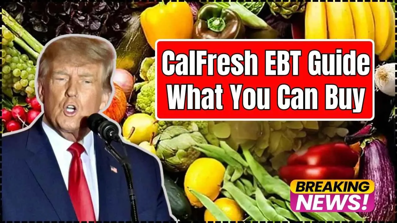 CalFresh EBT Guide