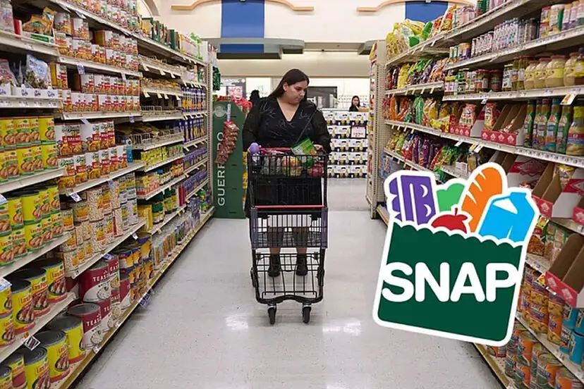 Texas SNAP Recipients 2025