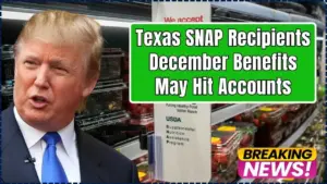 Texas SNAP Recipients