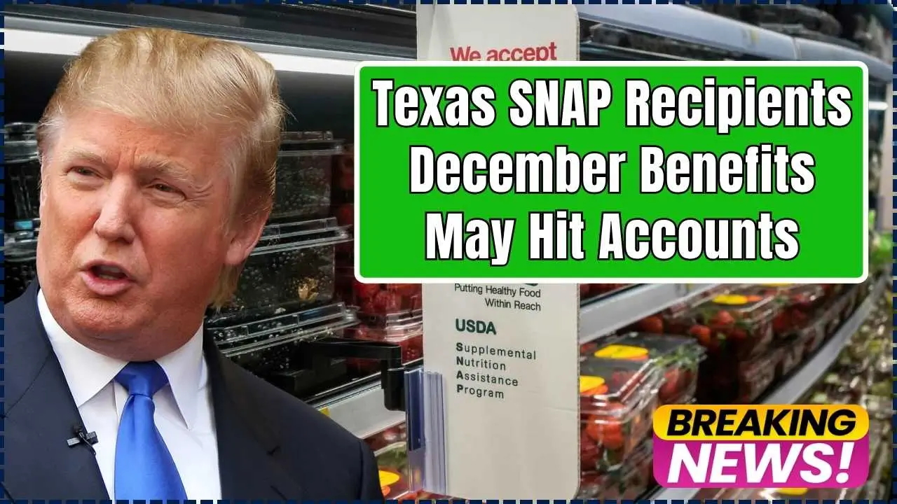 Texas SNAP Recipients