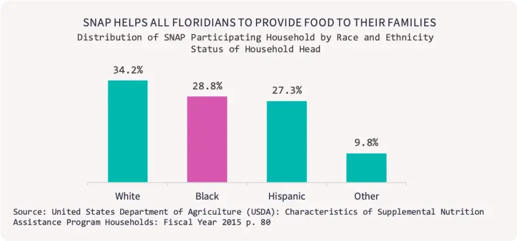 Florida SNAP Payments Graph
