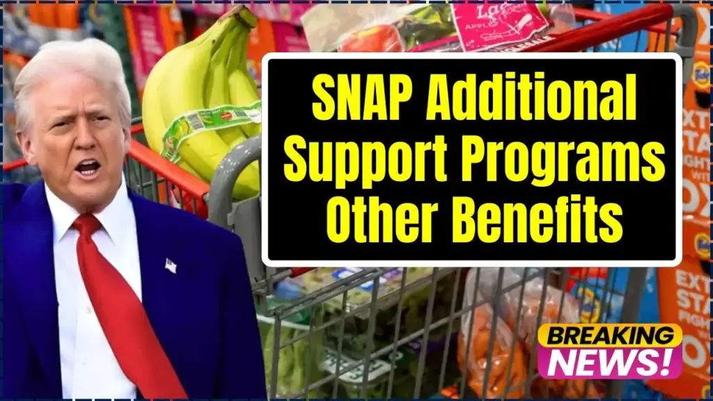 SNAP Additional Support Programs
