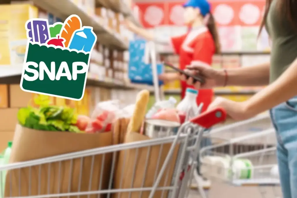 Texas SNAP Payments January 2026 – Who Gets Benefits Between January 5–11 and How to Check 3 Texas SNAP Payments 2026