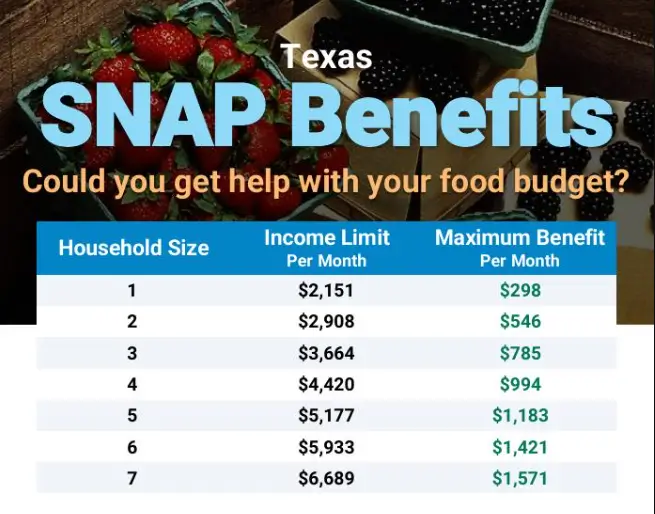Texas SNAP Payments Graph