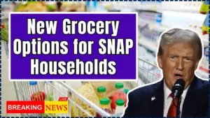 New Grocery Options for SNAP Households